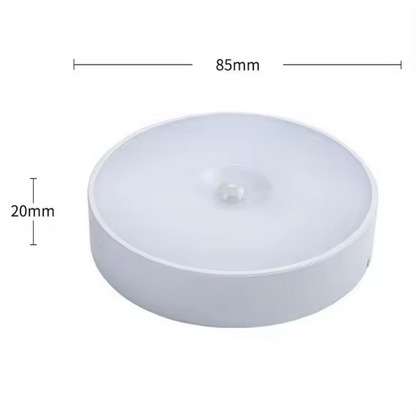 LED night light with light sensor